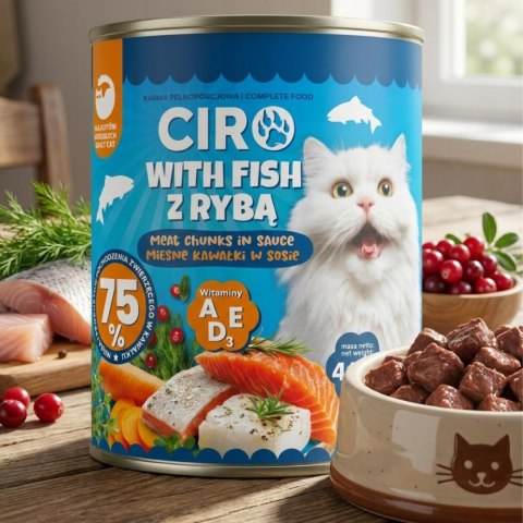 Karma Mokra Dla KOTA PUSZKA MIĘSNE KAWAŁKI W SOSIE 12x415G 75% Z RYBĄ