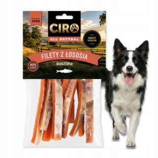 PRZYSMAK DLA PSA Ciro Filety z Łososia 100 g Suszone Miękkie Naturalne